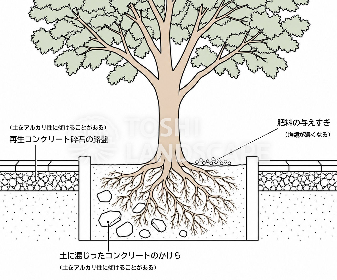 植栽地 土壌 pH アルカリ性 再生コンクリート砕石 コンクリート塊 肥料 塩類 原因 イラスト