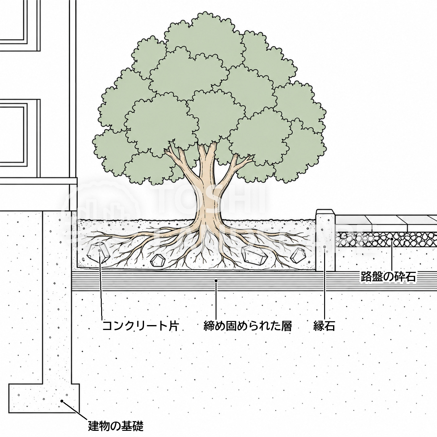 植栽基盤 化学性 コンクリートガラ 再生コンクリート砕石 アルカリ 締め固め 土の断面 イラスト