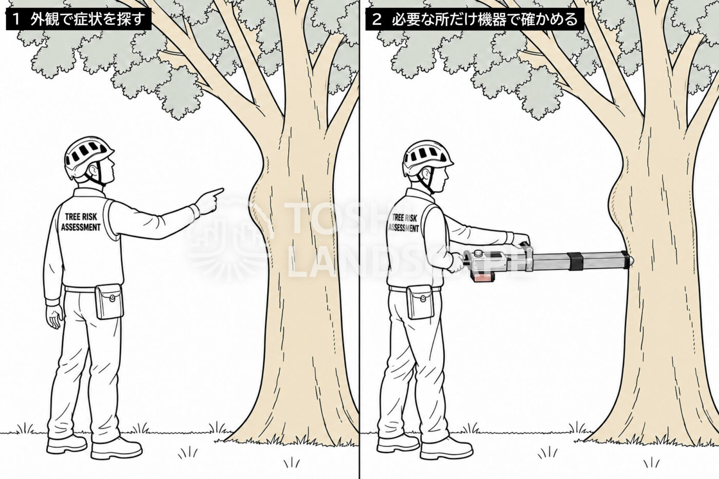 外観診断 機器診断 樹木医 幹の症状 レジ Resi PD VTA 流れ 図解