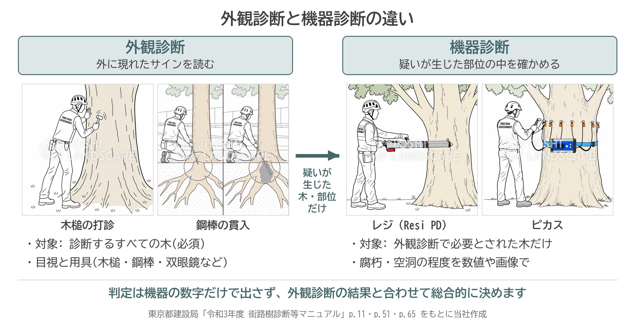 外観診断 機器診断 違い 木槌 鋼棒 レジ ピカス 精密診断 樹木医