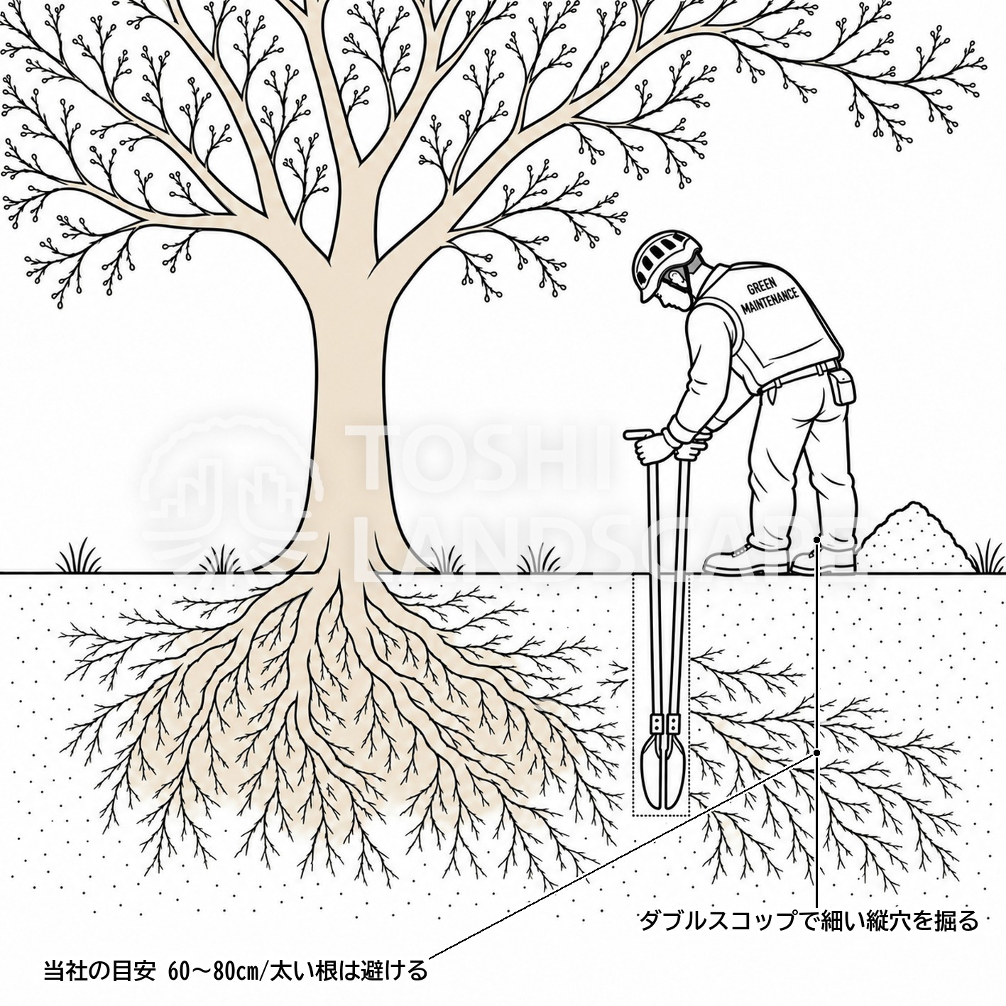 ダブルスコップ 縦穴 掘る 割竹挿入法 深さ 土壌改良 樹木医