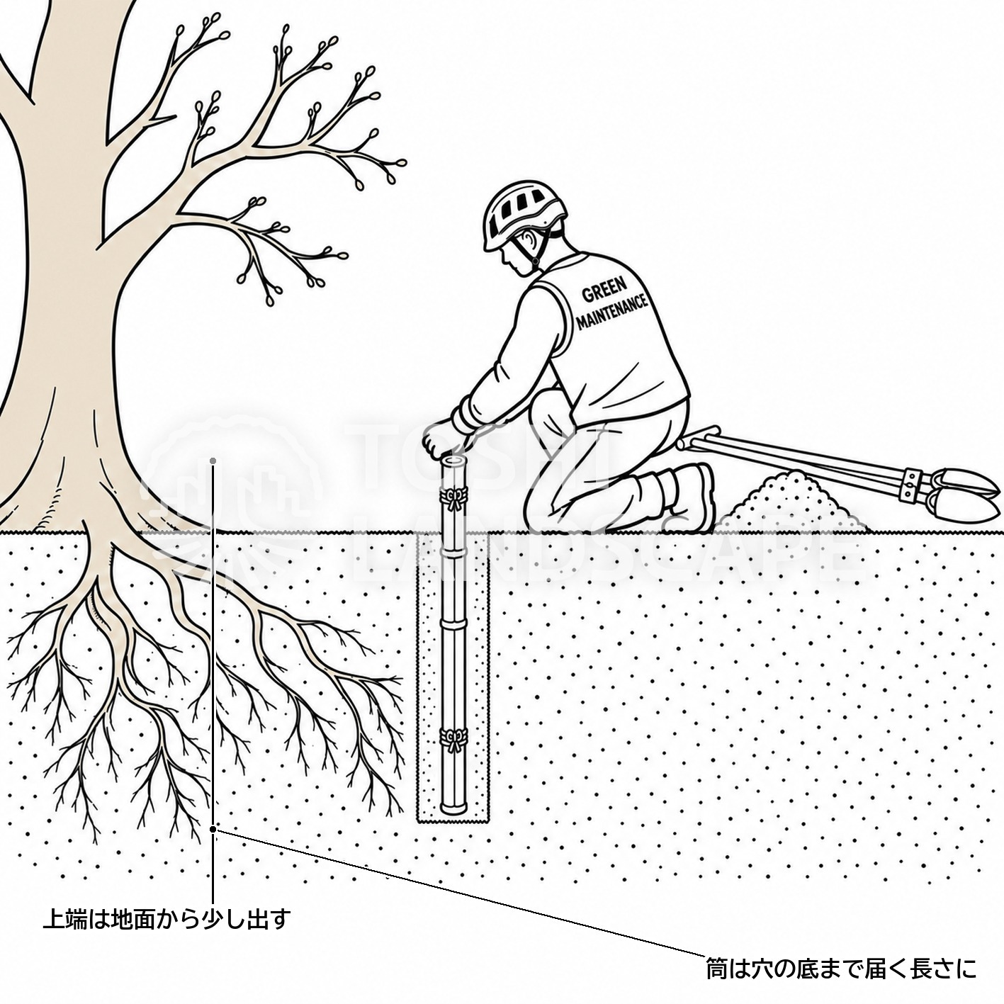 割竹 縦穴 立てる 上端 割竹挿入法 土壌改良 樹木医