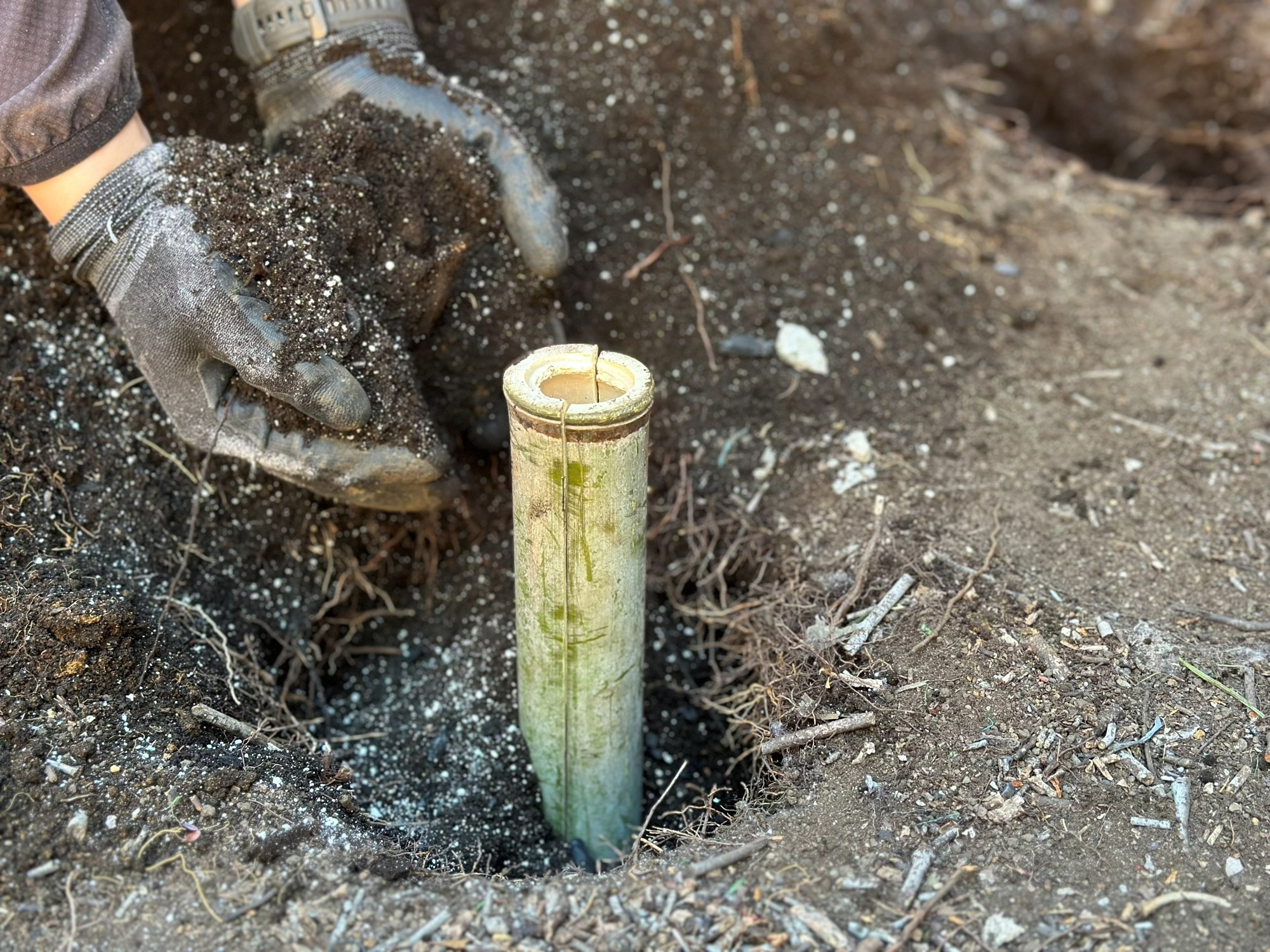 割竹挿入法 割竹 縦穴 埋め戻し パーライト 土壌改良資材