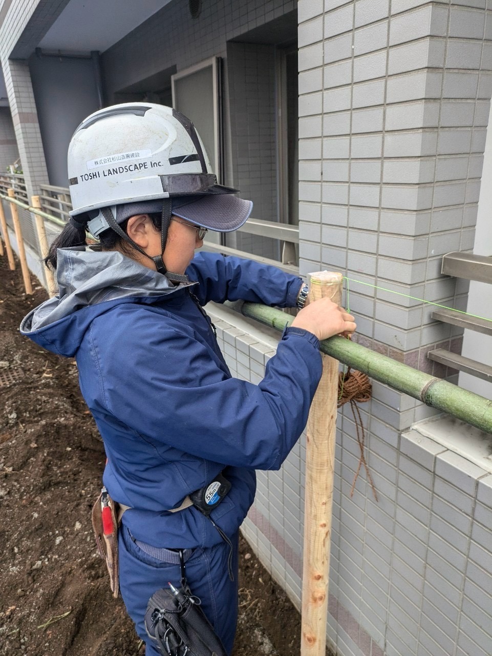 竹 杭 結束 シュロ縄 造園工事 2級造園技能士