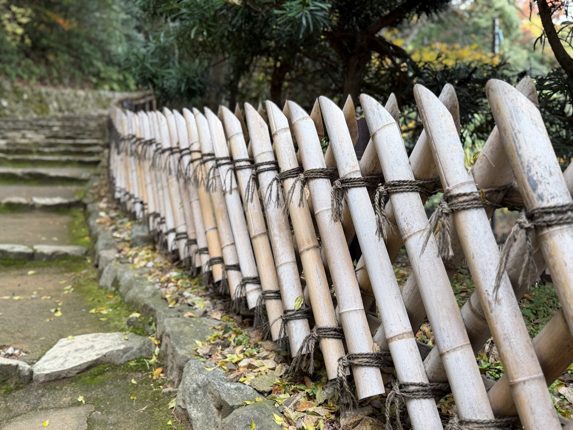 竹垣 石段 庭園 造園 造園技能士