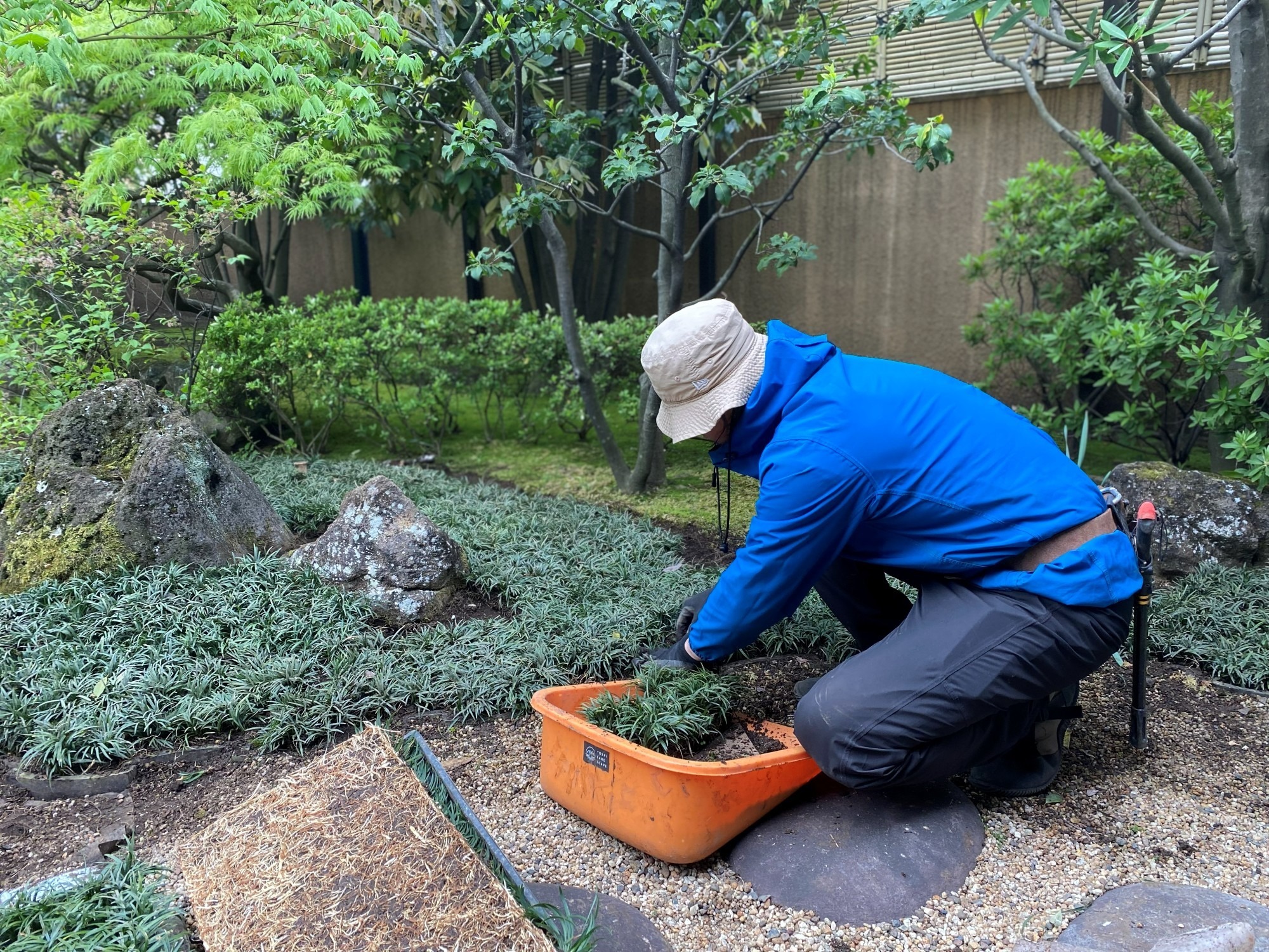 植栽工事 地被 植え付け 庭 造園工事 造園技能士